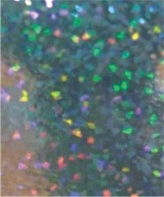 REF. 10048